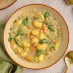 Creamy vegetarian gnocchi soup in bowl